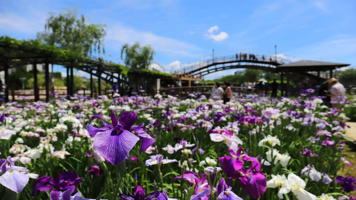 亀の井ホテル 潮来 photo
