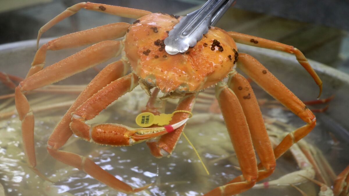 越前カニと天然あわびの宿 ホテル割烹 石丸 photo