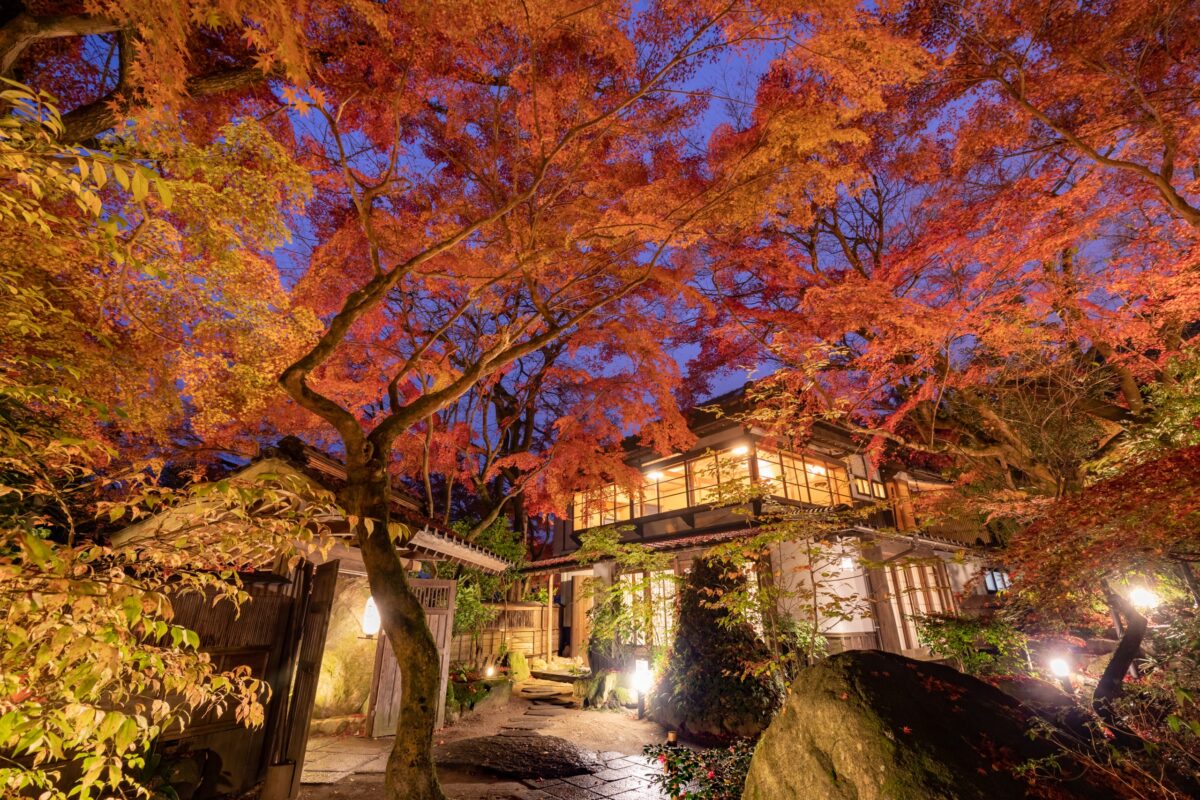 秋月温泉 料亭旅館 清流庵 photo