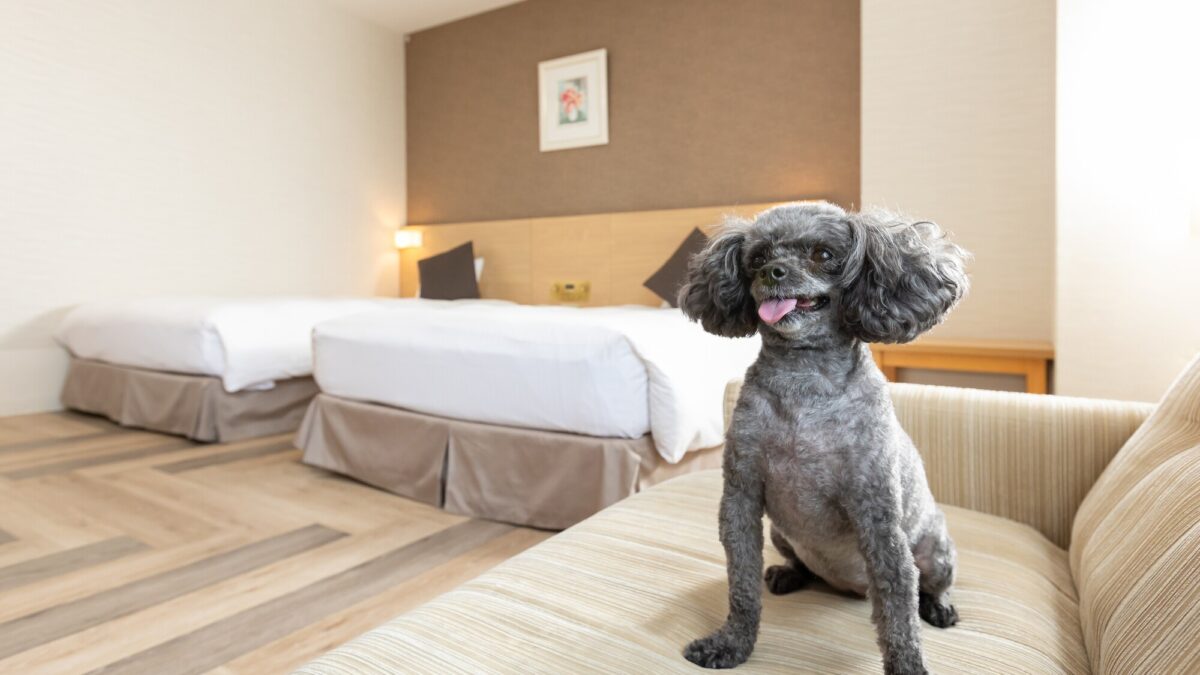 亀の井ホテル 知多美浜 photo