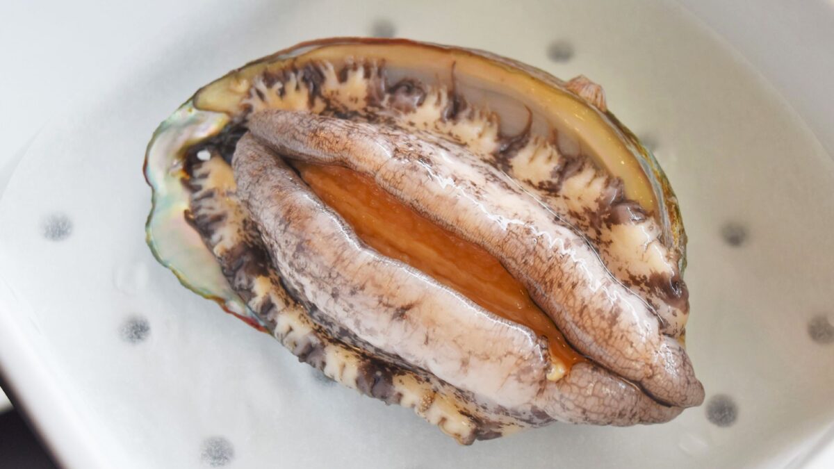 鮑深層水踊り焼き：独特の歯ごたえの中に旨味がたっぷり