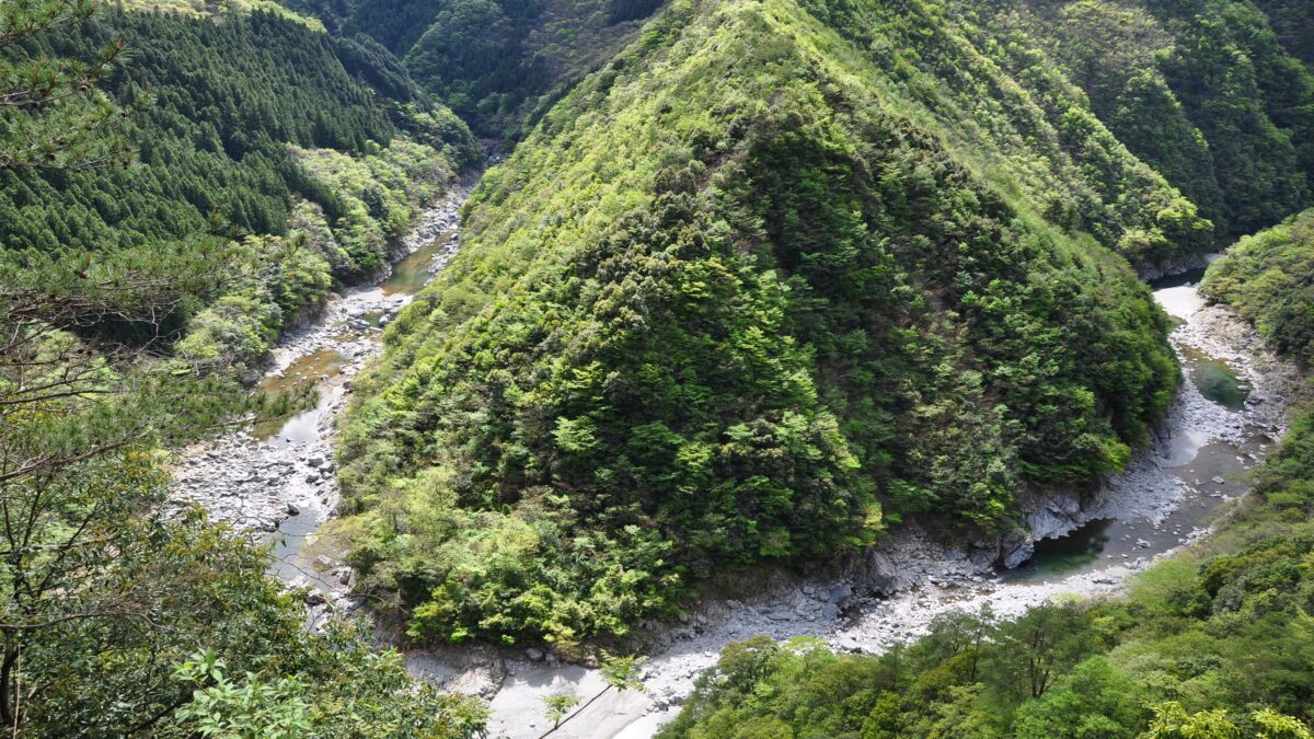 峡谷の湯宿 大歩危峡まんなか photo