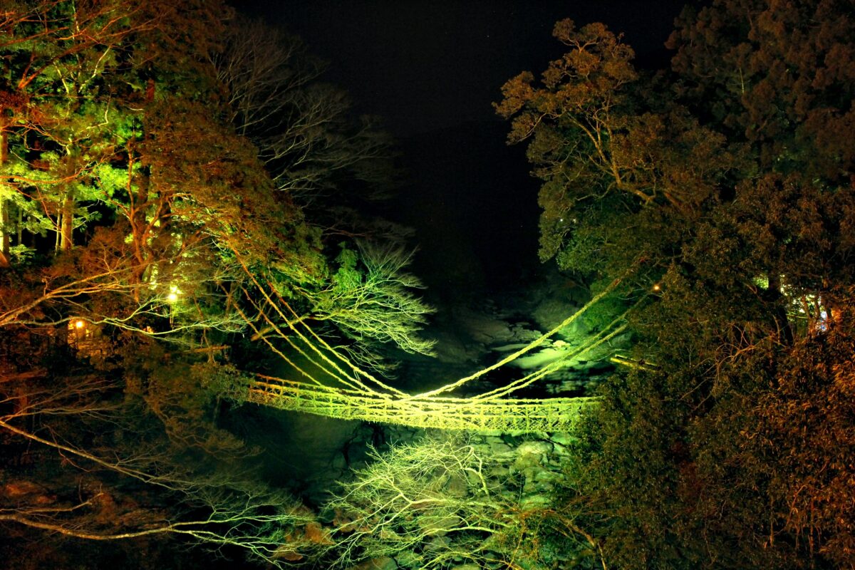 祖谷渓温泉 ホテル秘境の湯 photo