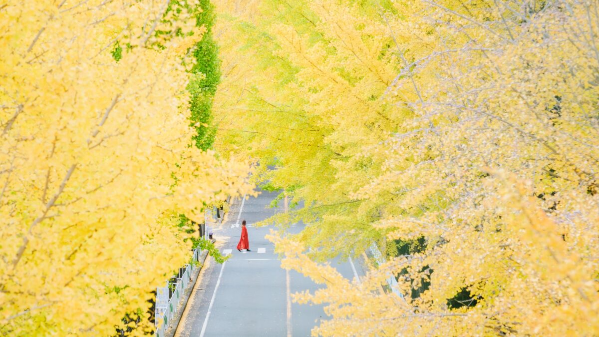 フェアフィールド・バイ・マリオット・奈良天理山の辺の道 photo