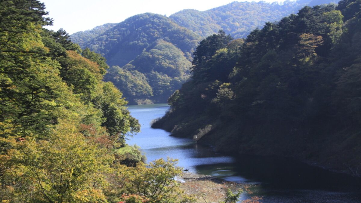 塩原温泉 源美の宿 会津屋 photo
