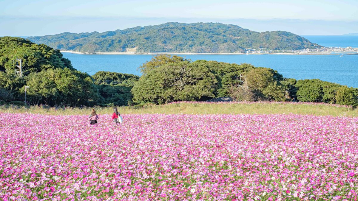 ＪＲ九州ホテル ブラッサム博多中央 photo