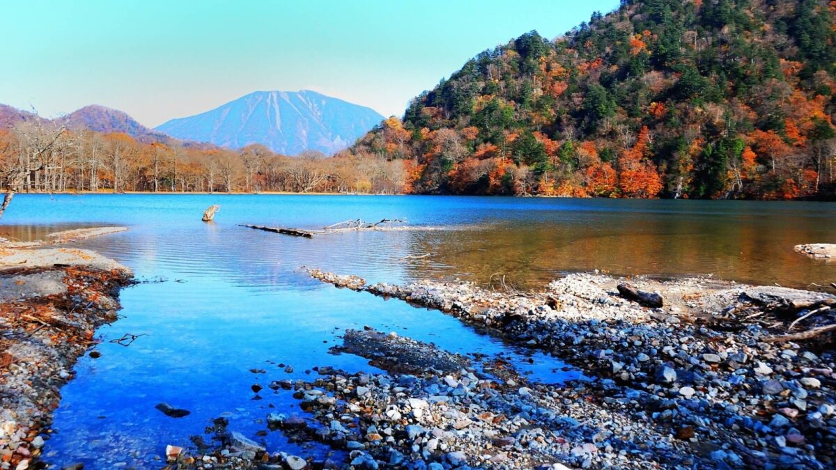 鬼怒川温泉 鬼怒川グランドホテル 夢の季(ゆめのとき) photo
