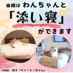 わんちゃんと泊まる温泉宿 皆生温泉 松涛園