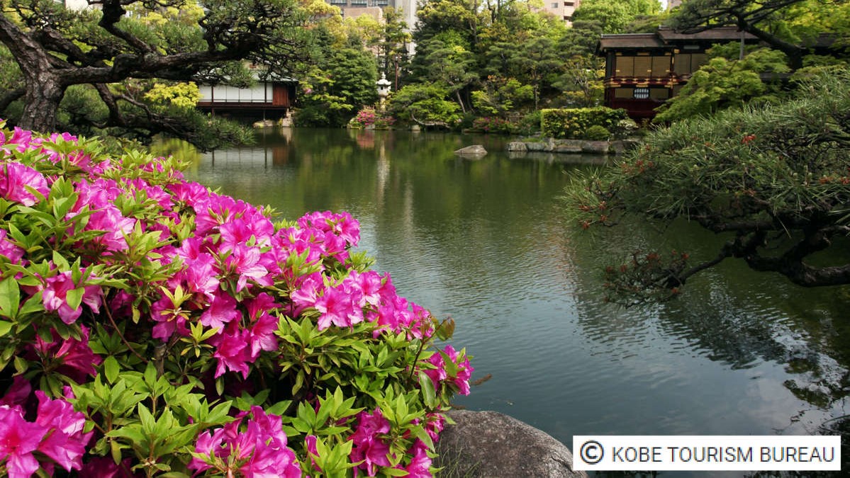 グリーンリッチホテル神戸三宮 人工温泉・二股湯の華 photo