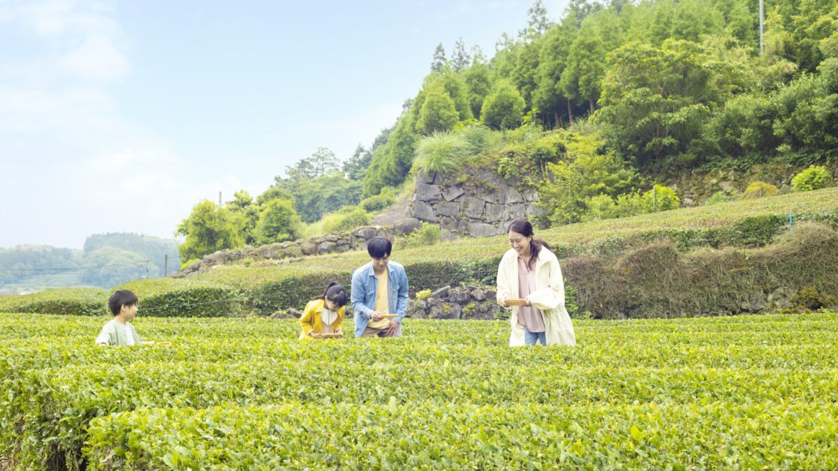 大江戸温泉物語 嬉野館 photo