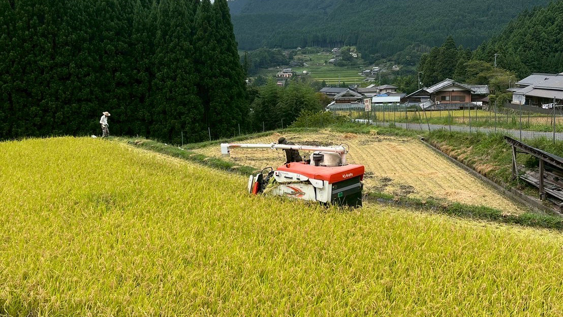 ＳＥＴＲＥ ＮＡＲＡＭＡＣＨＩ / SETRE NARAMACHI photo
