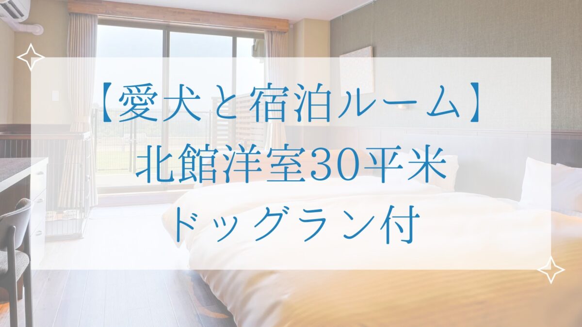 ＨＯＴＥＬ星取テラスせきがね photo