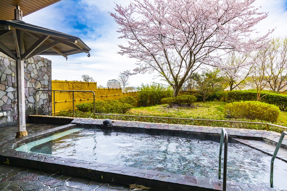 休暇村 越前三国 photo