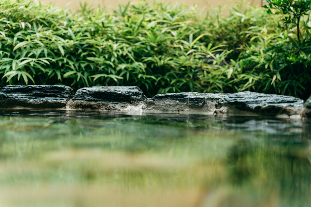 亀の井ホテル 柳川 photo