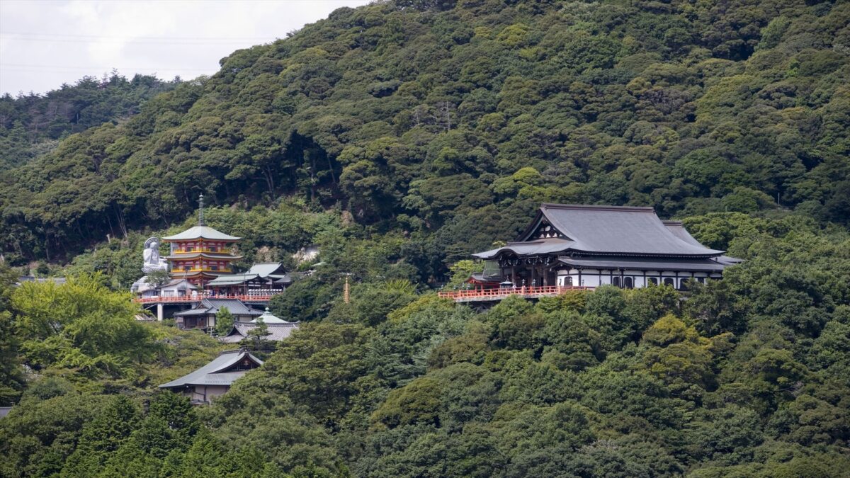 柿本家 photo