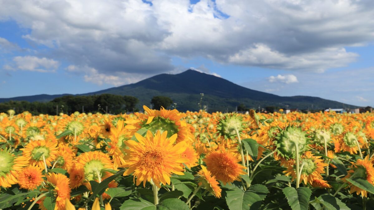 亀の井ホテル 筑波山 photo