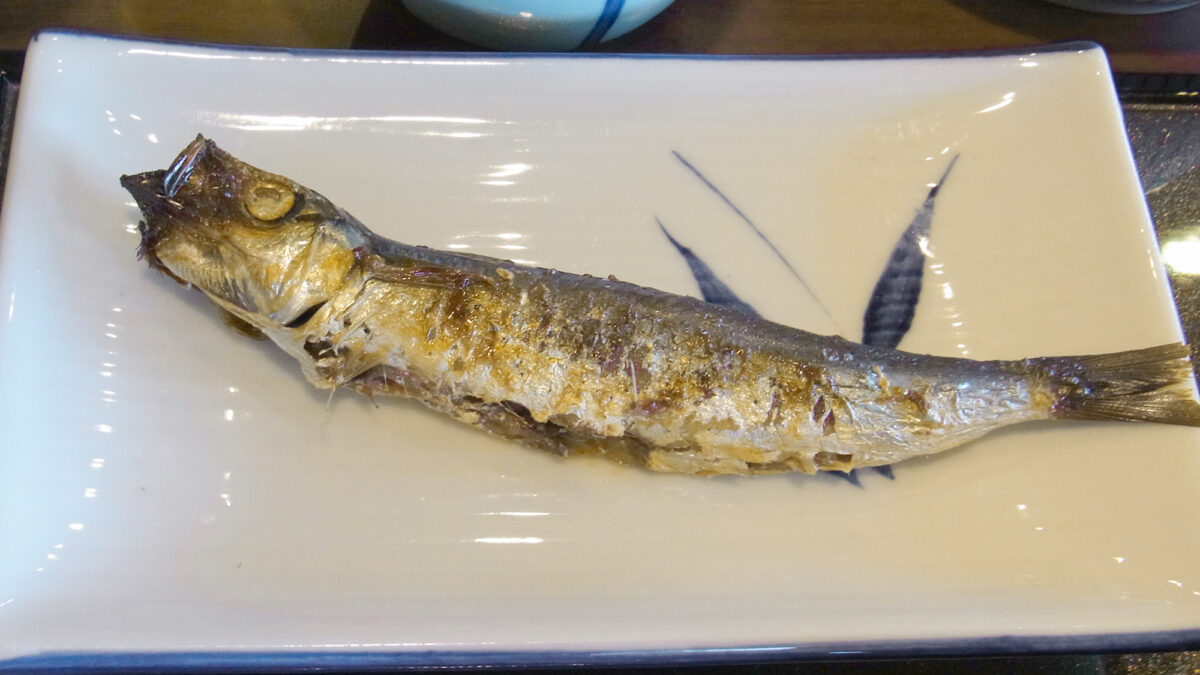 やすらぎの宿 でんこ photo
