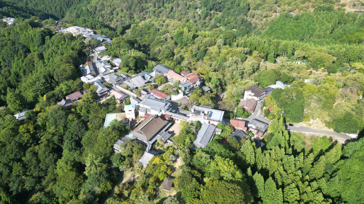 竹林院群芳園 photo
