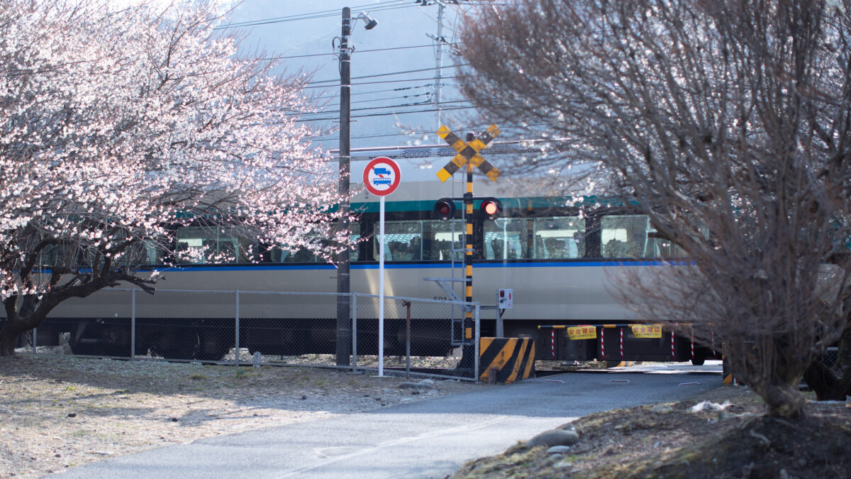 鬼怒川温泉 ホテルハーヴェスト鬼怒川 photo