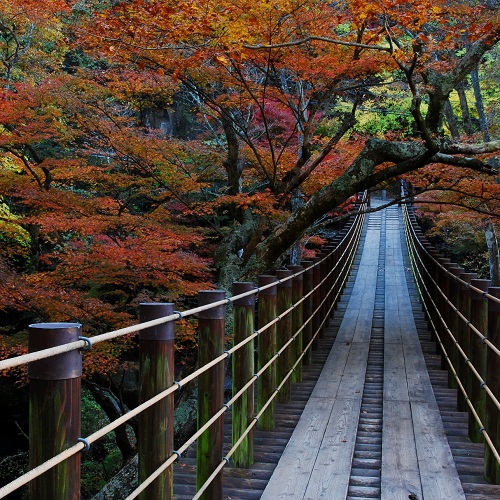 元湯 山田屋旅館 / Motoyu Yamadaya Ryokan photo