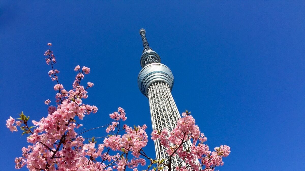 お茶の水ホテルジュラク photo