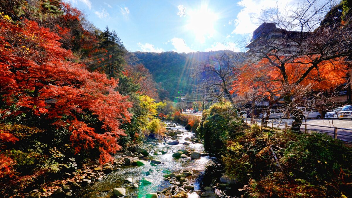 箱根湯本温泉 ホテル おかだ photo
