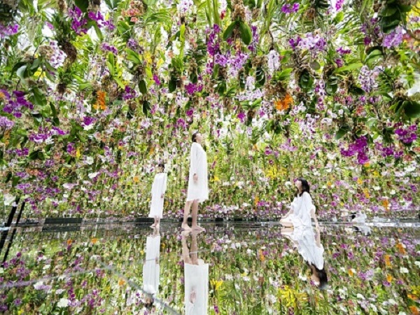 チームラボ画像1