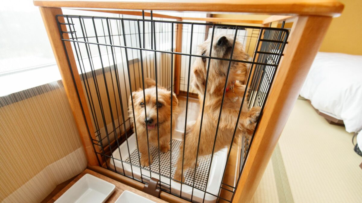 ホテル四季の館那須 photo
