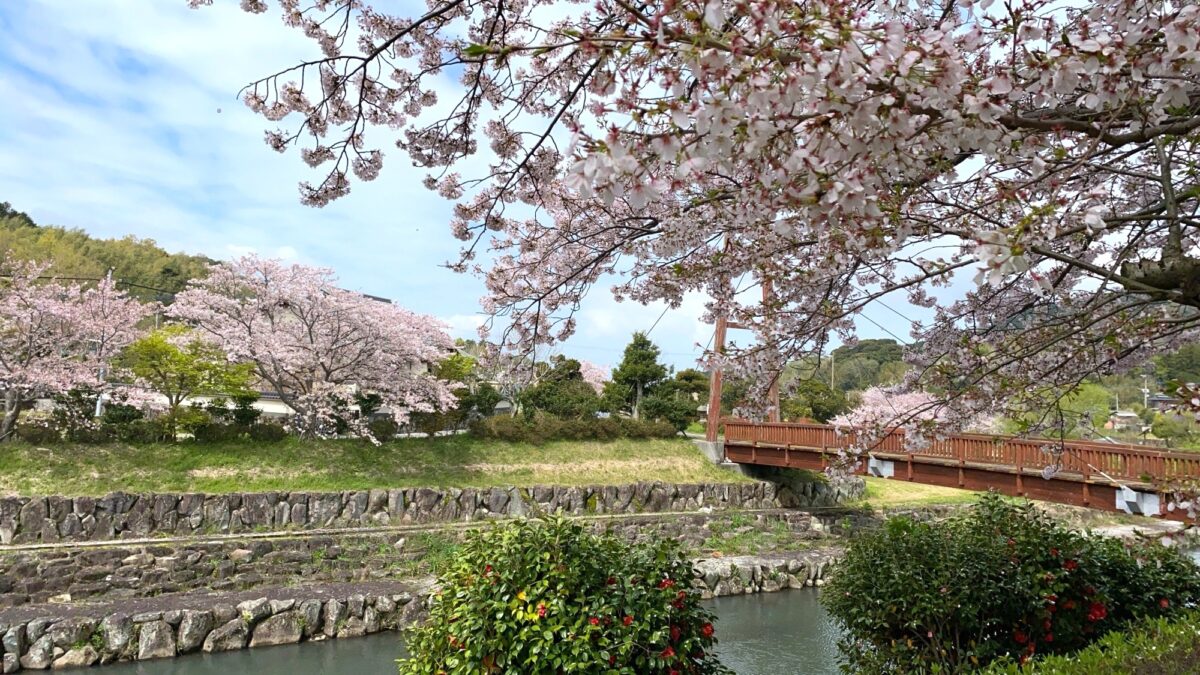 真玉温泉 山翆荘 スパランド真玉 photo