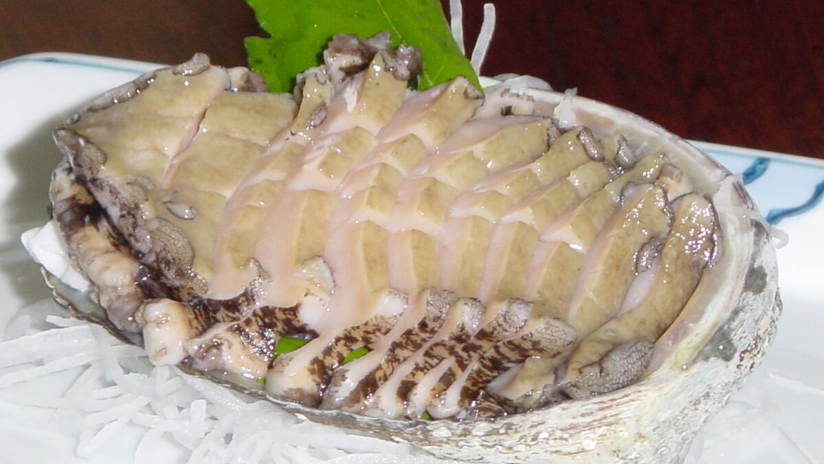 潮風荘 photo