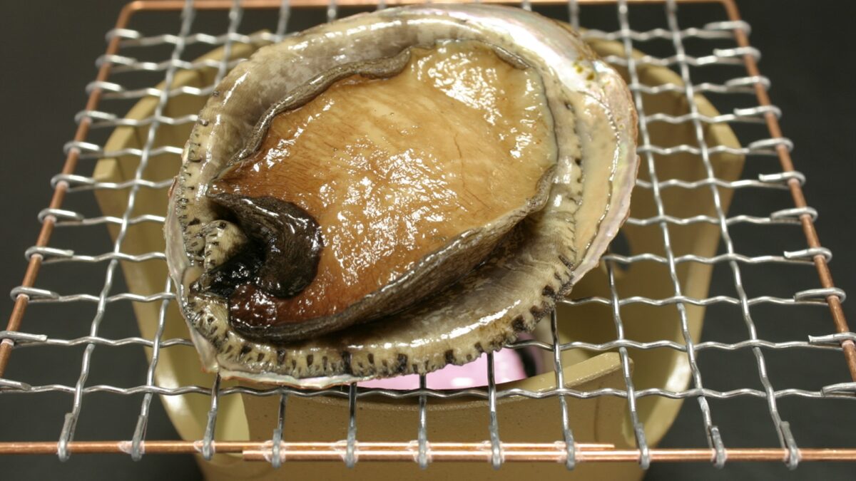 民宿浜野屋 photo