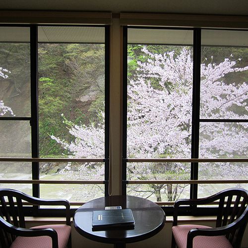 【３種の異なる泉質と四季の郷土料理】美人の湯 瀬美温泉 photo