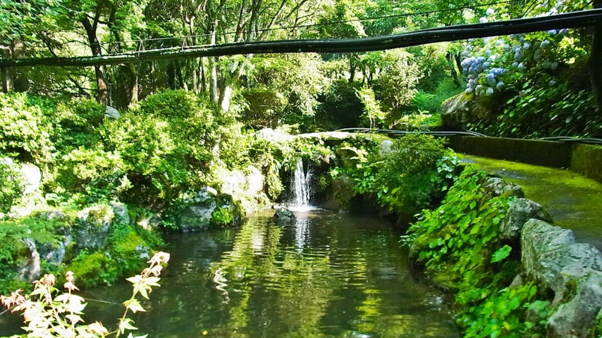 淡水荘 photo