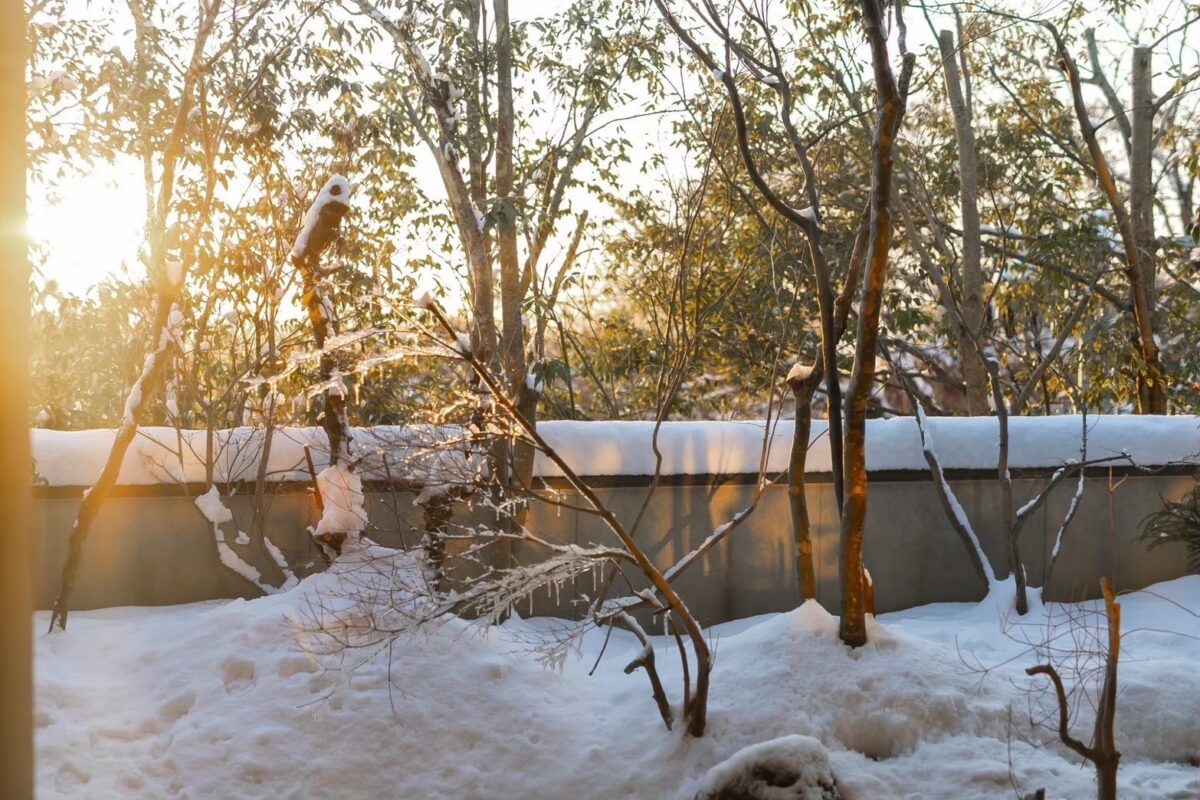 ＮＯＭＡＤＯ ＨＯＴＥＬ ＤＡＩＳＥＮ photo