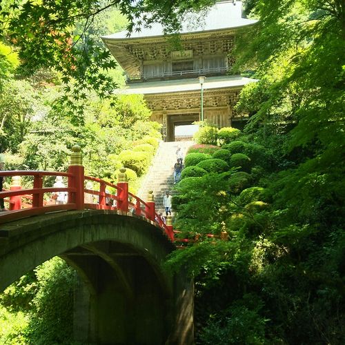ホテルセレクトイン西那須野駅前 photo
