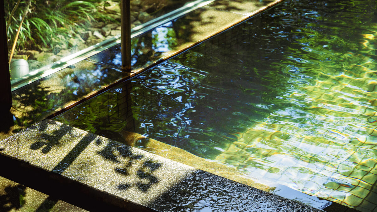 鳥取温泉 温泉旅館 丸茂 photo