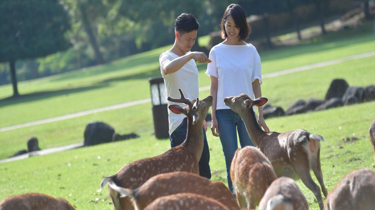 ホテルニューわかさ photo
