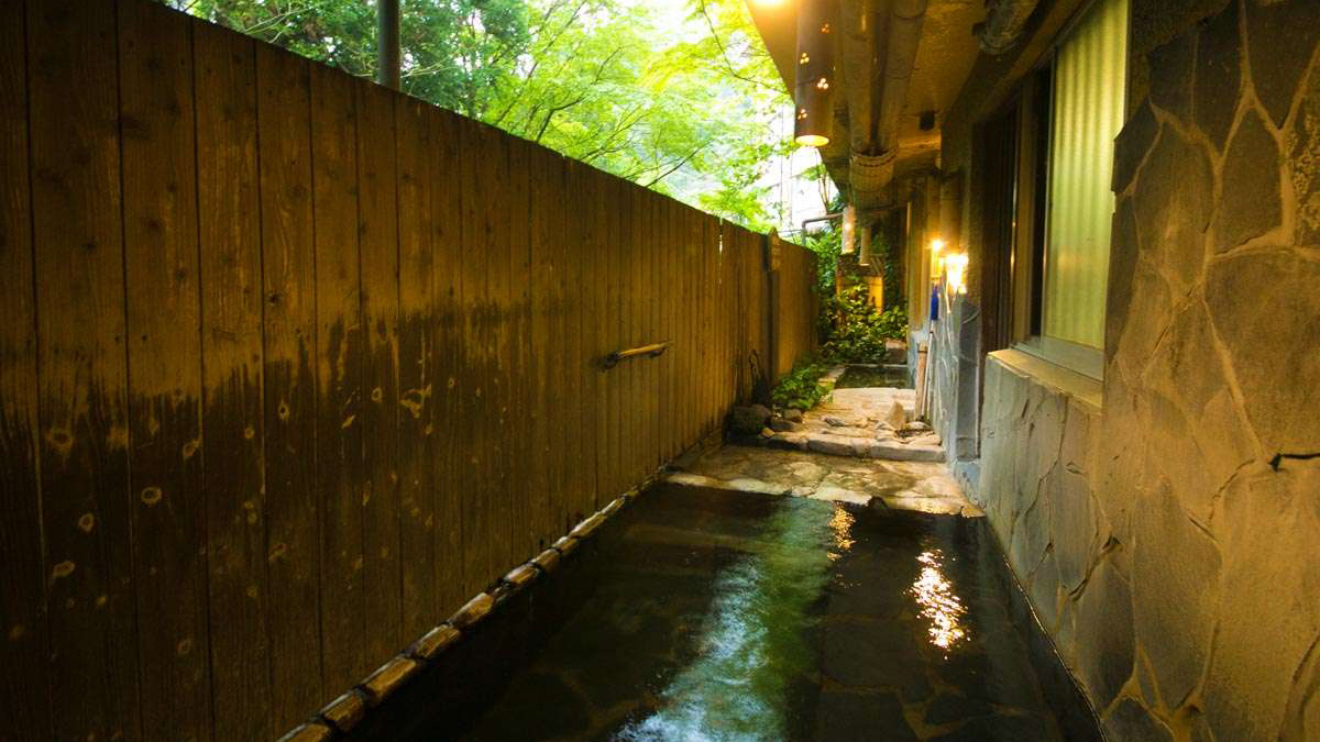 宝泉寺温泉 ペットと泊まれる宿 季の郷 山の湯 photo