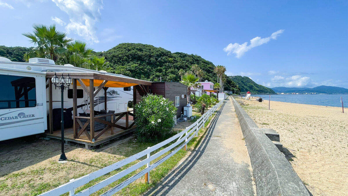 シーアイガ海月 photo