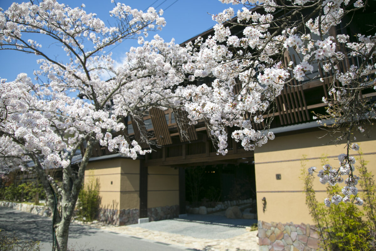 昼神の棲 玄竹 photo