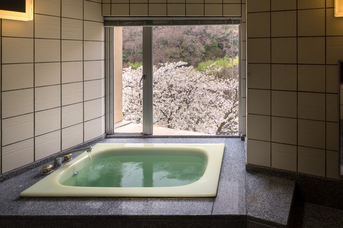 箱根湯本温泉 ホテルおくゆもと photo