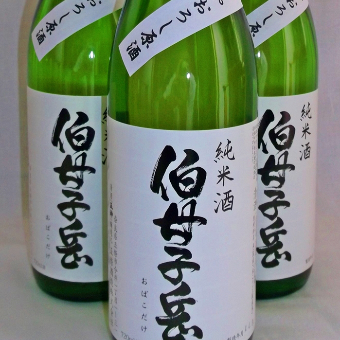 野迫川温泉 ホテルのせ川 photo