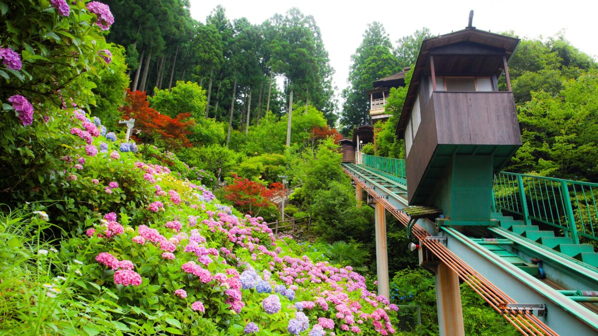 新祖谷温泉 ホテルかずら橋 photo