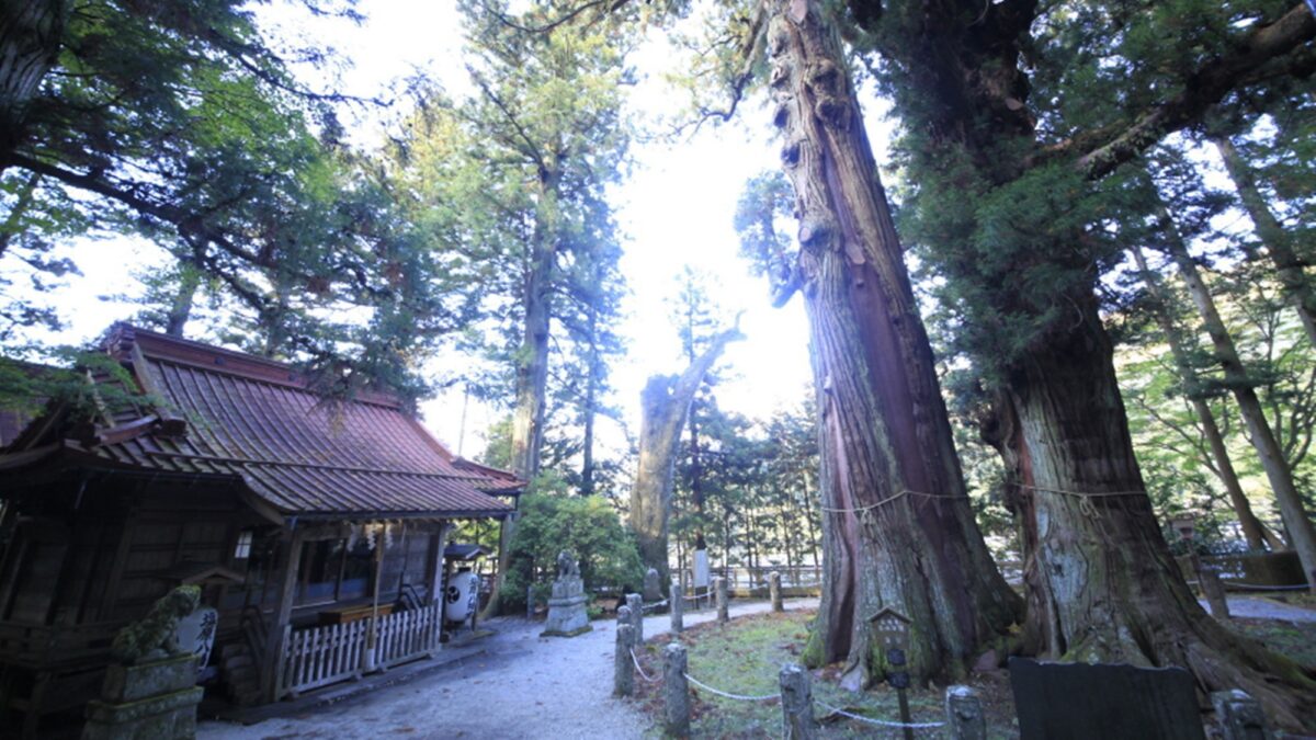 塩原温泉 源美の宿 会津屋 photo