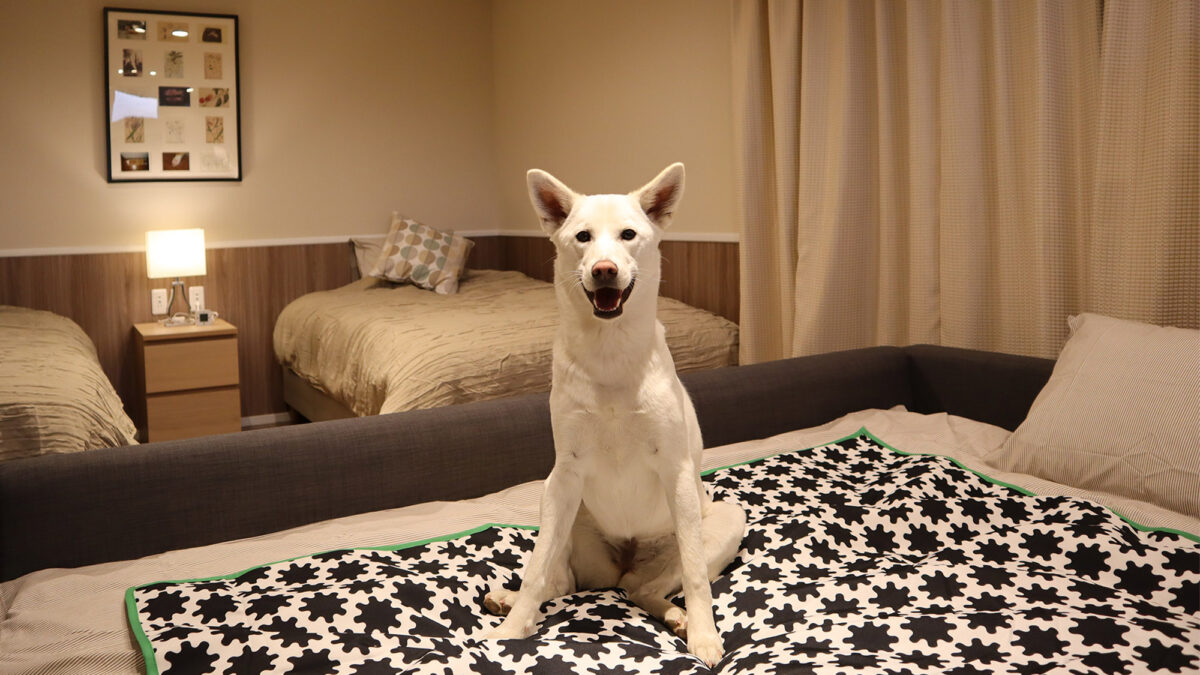 ＯＮＩＷＡ photo