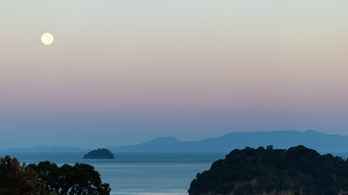 松島観光ホテル 岬亭 photo