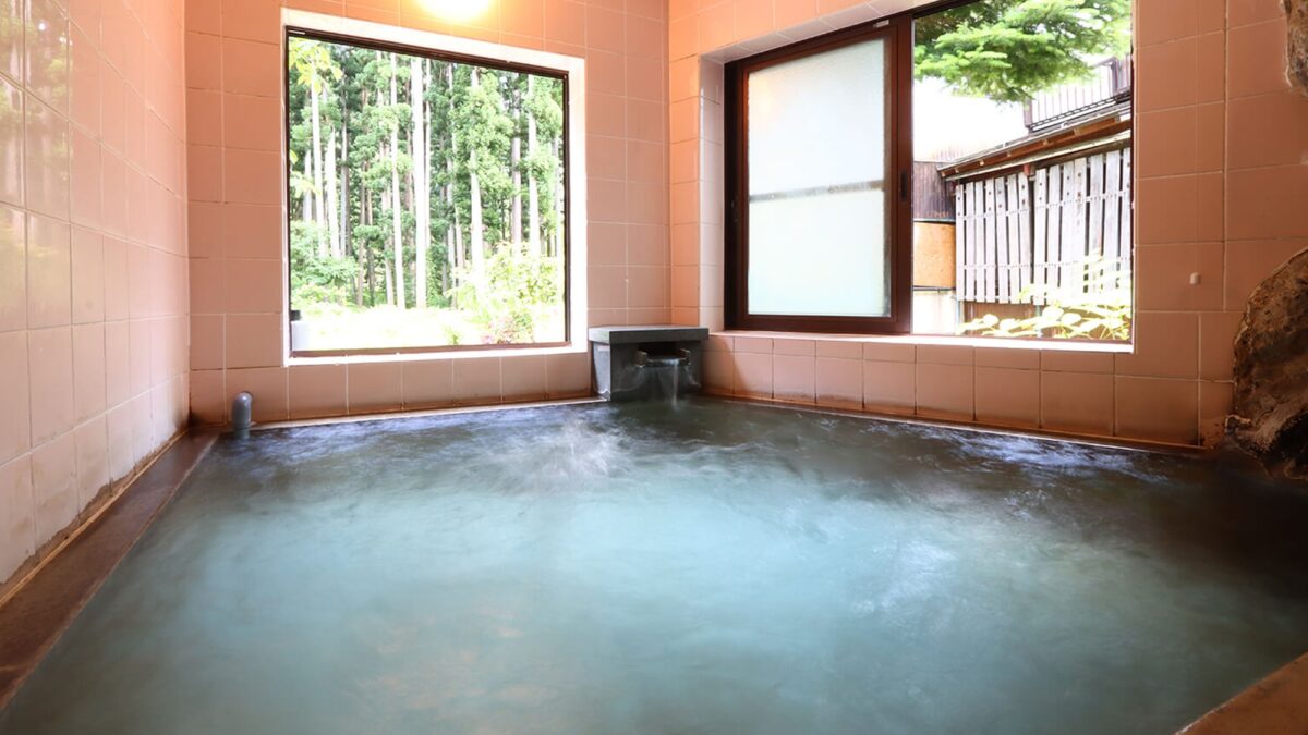 白川郷平瀬温泉 お宿 湯の里 photo