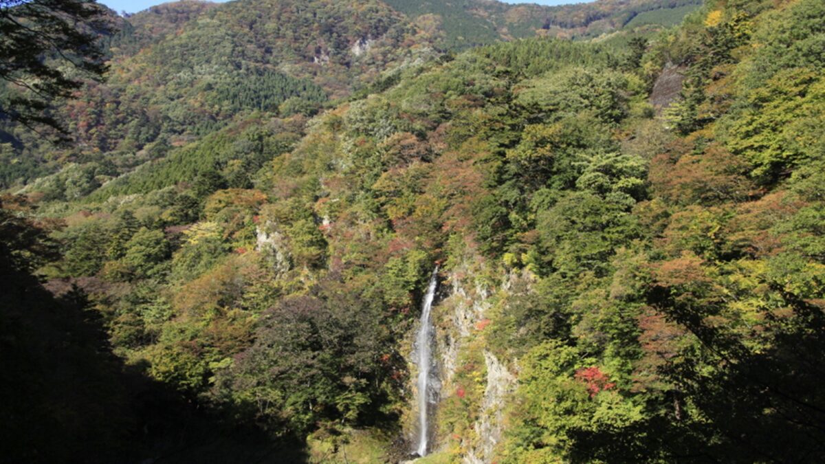 塩原温泉 源美の宿 会津屋 photo