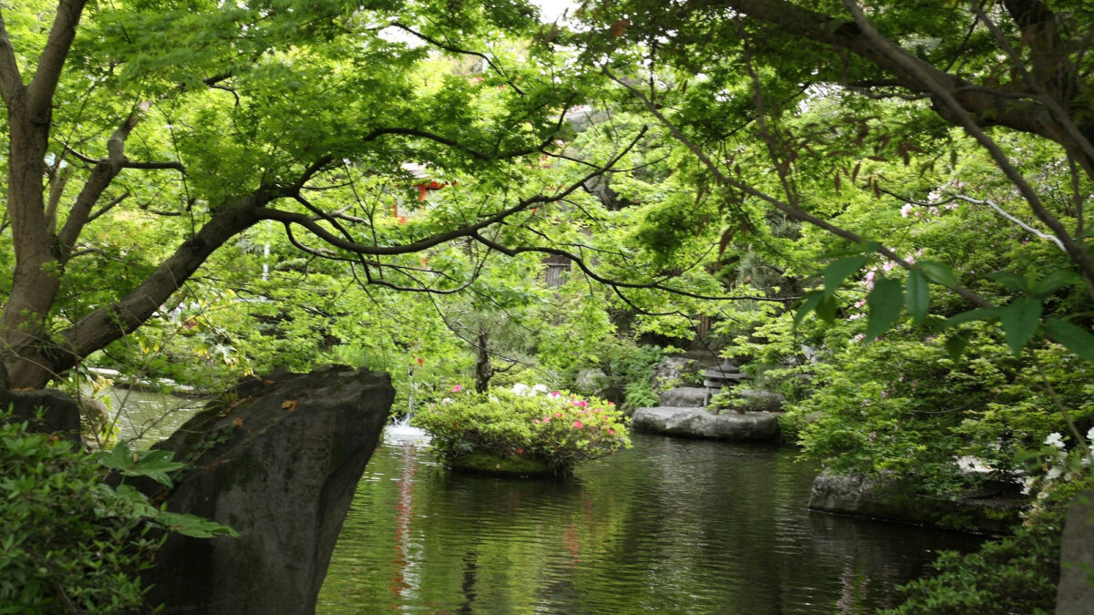 原鶴温泉 泰泉閣 photo
