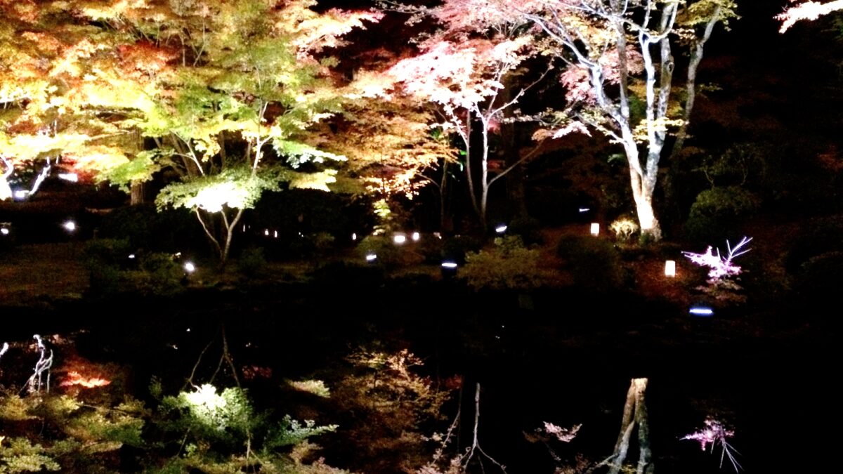 キャッスルイン仙台 photo